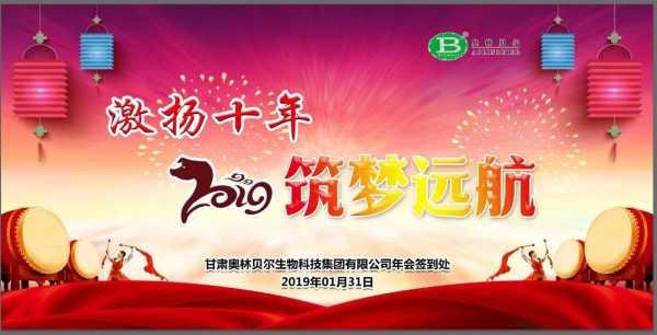 年会精彩回顾 I 激扬十年，2019筑梦远航！